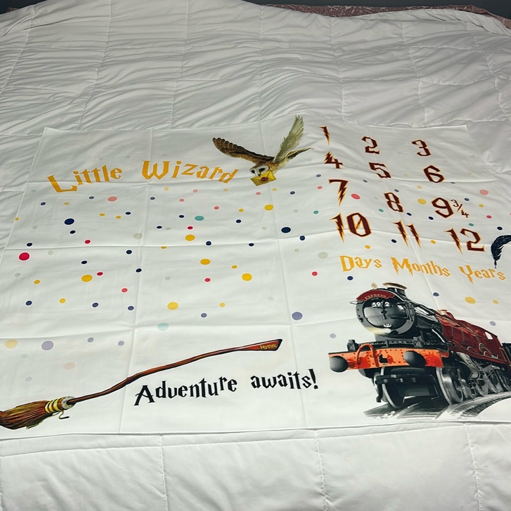 Harry Potter monthly blanket